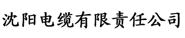 高考陪读妈妈未删减1电缆厂logo